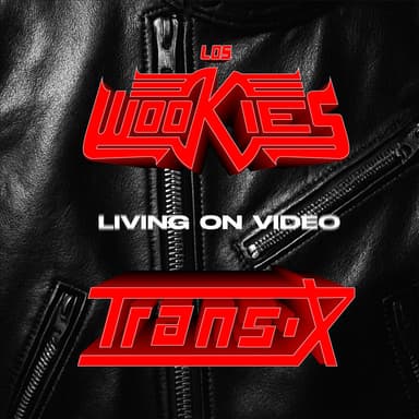 Living on Video (The Wookies Remix)